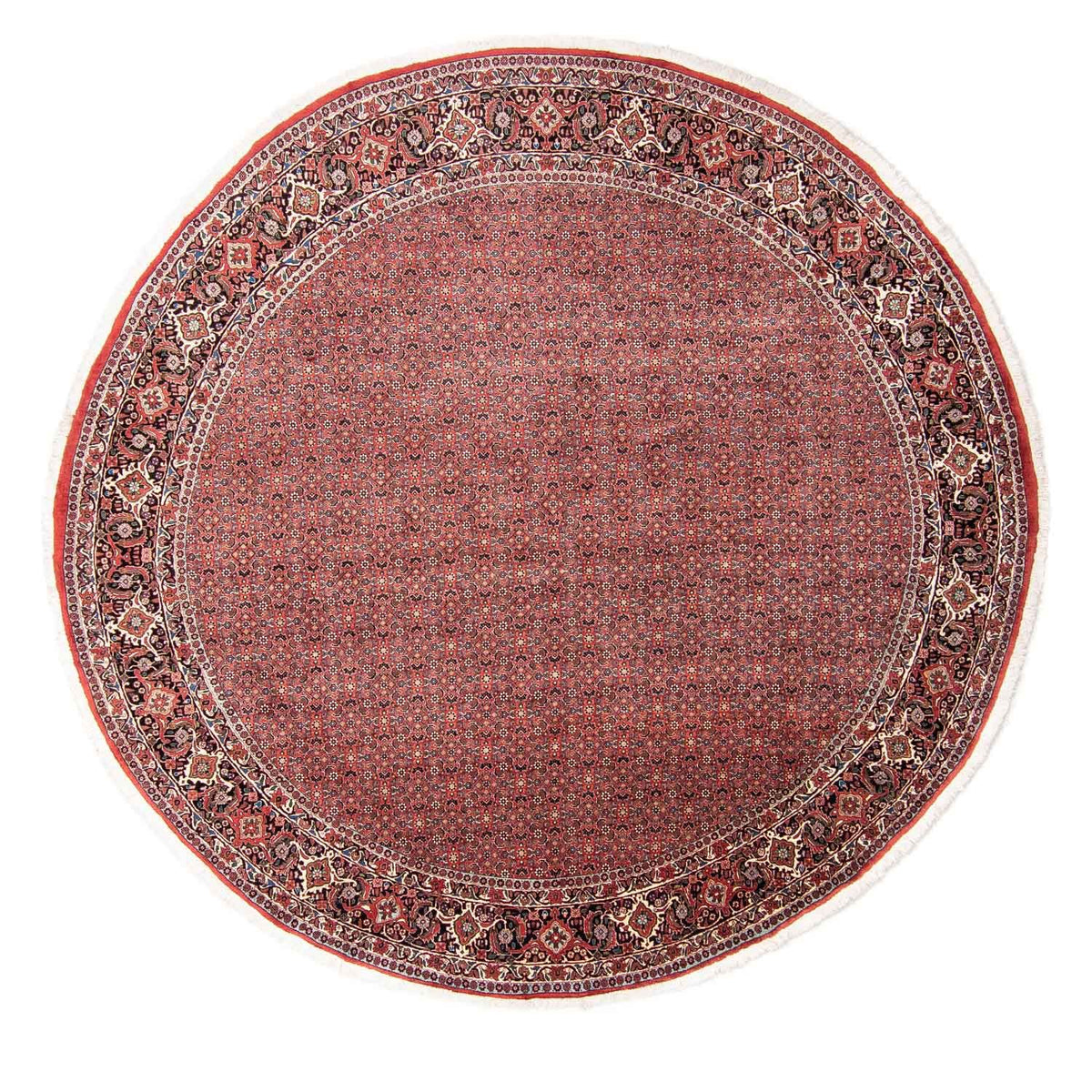 Alfombra persa - Bidjar redondo  - 300 x 300 cm - rojo