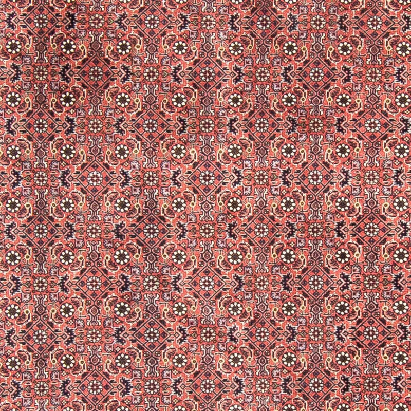 Alfombra persa - Bidjar redondo  - 300 x 300 cm - rojo claro