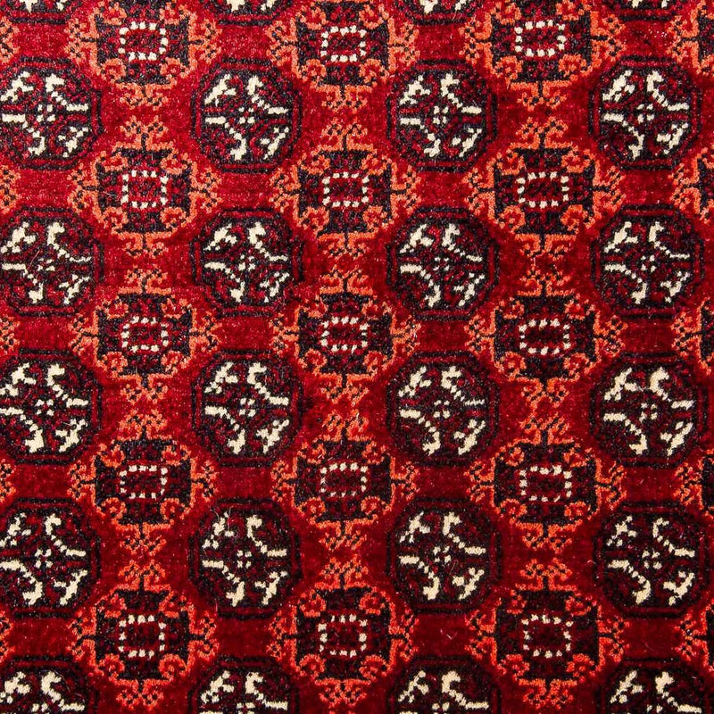 Alfombra afgana - Bukhara - 293 x 201 cm - rojo