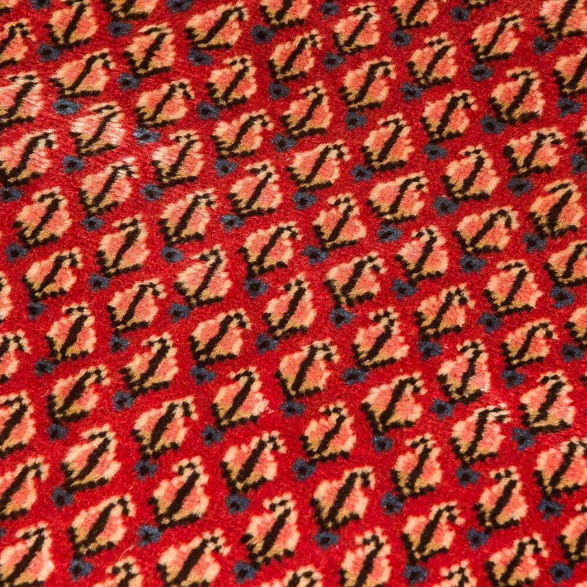 Alfombra de pasillo Alfombra persa - Mir - 197 x 80 cm - rojo