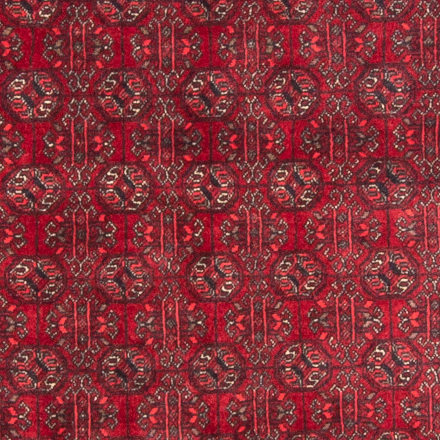 Alfombra afgana - Bukhara - 196 x 124 cm - rojo
