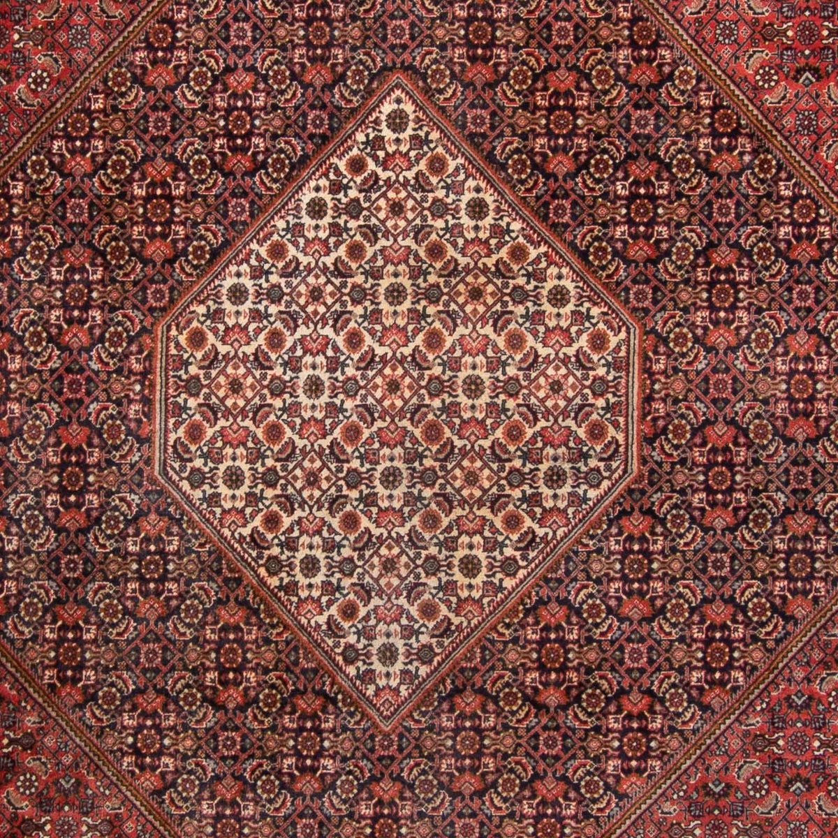 Alfombra persa - Bidjar - 350 x 250 cm - rojo