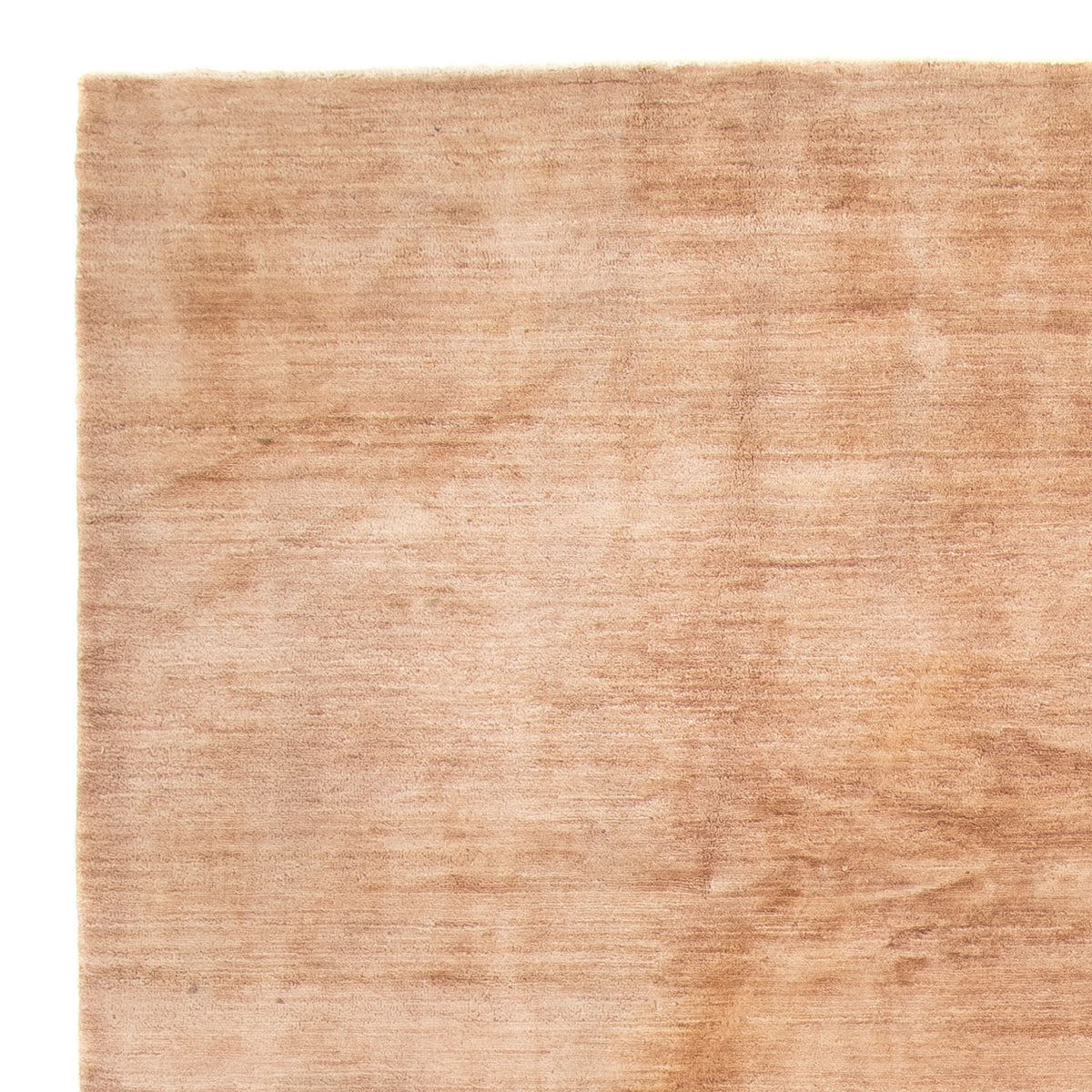 Ziegler moderno Alfombra 200x300cm - Alfombra oriental
