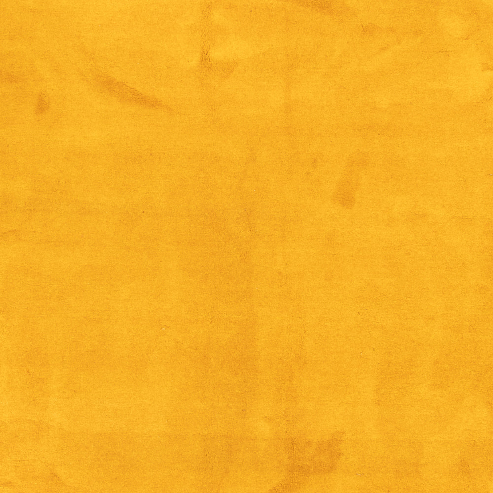 Alfombra Gabbeh - Indus - 389 x 300 cm - oro
