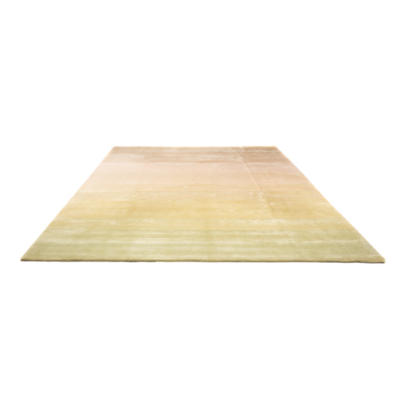 Alfombra de Nepal - Real - 345 x 252 cm - multicolor