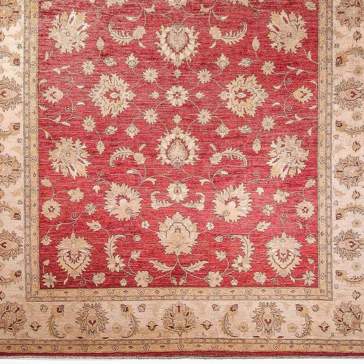 Alfombra Ziegler 277x353cm - Alfombra oriental
