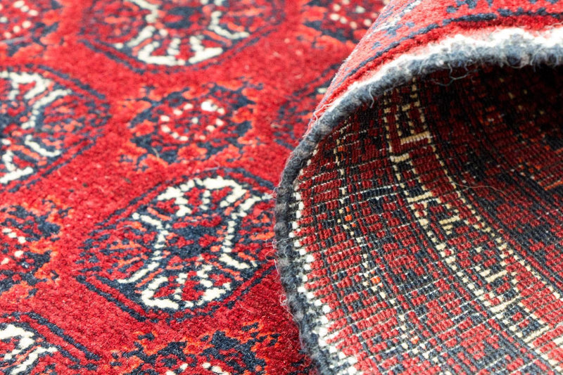 Alfombra afgana - Bukhara - 300 x 195 cm - rojo