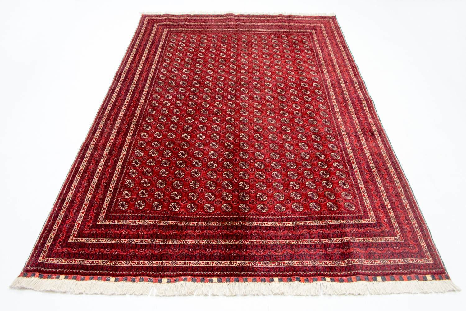 Alfombra afgana - Bukhara - 300 x 195 cm - rojo