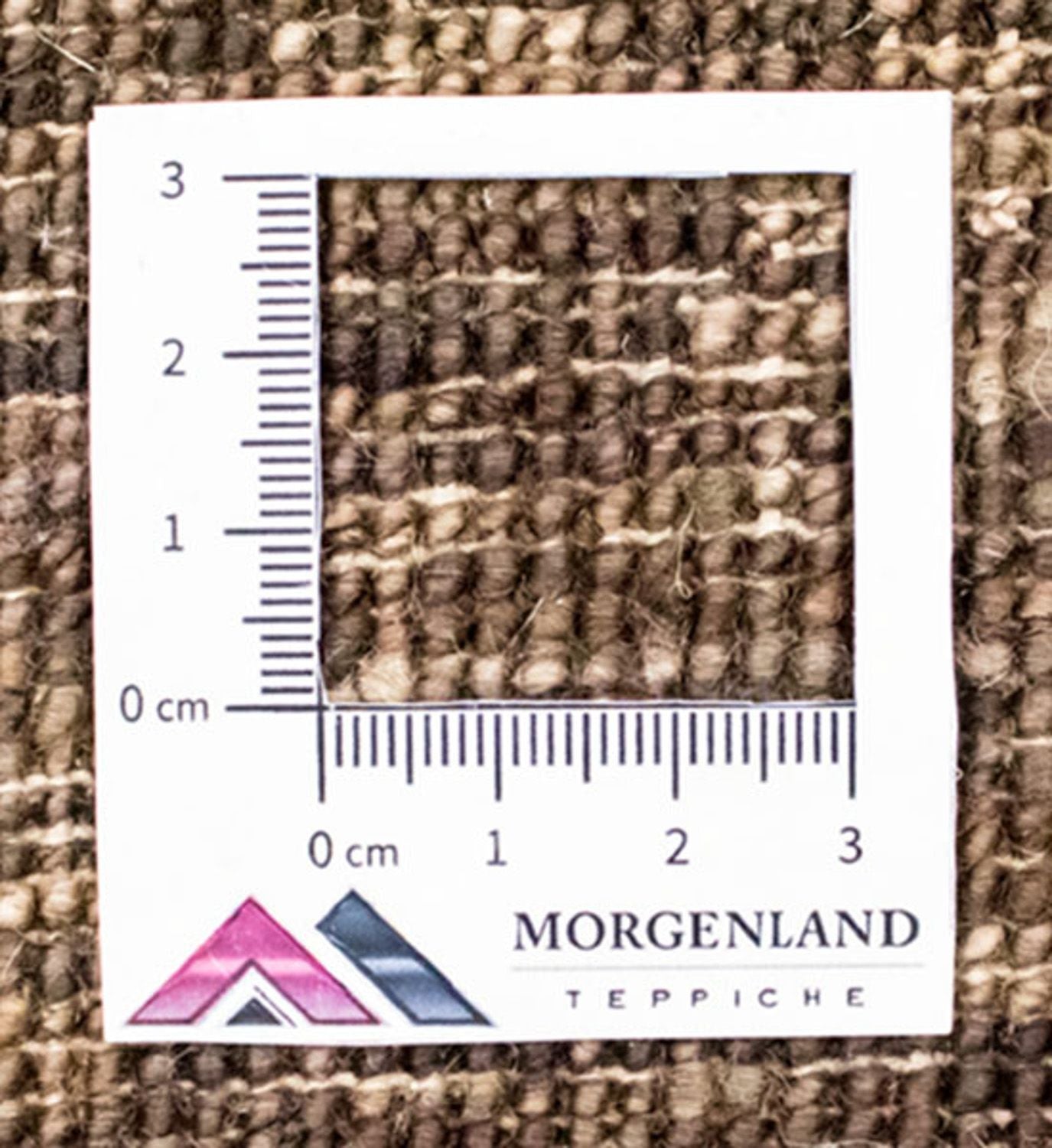 Alfombra Ziegler - Moderna - 330 x 269 cm - multicolor