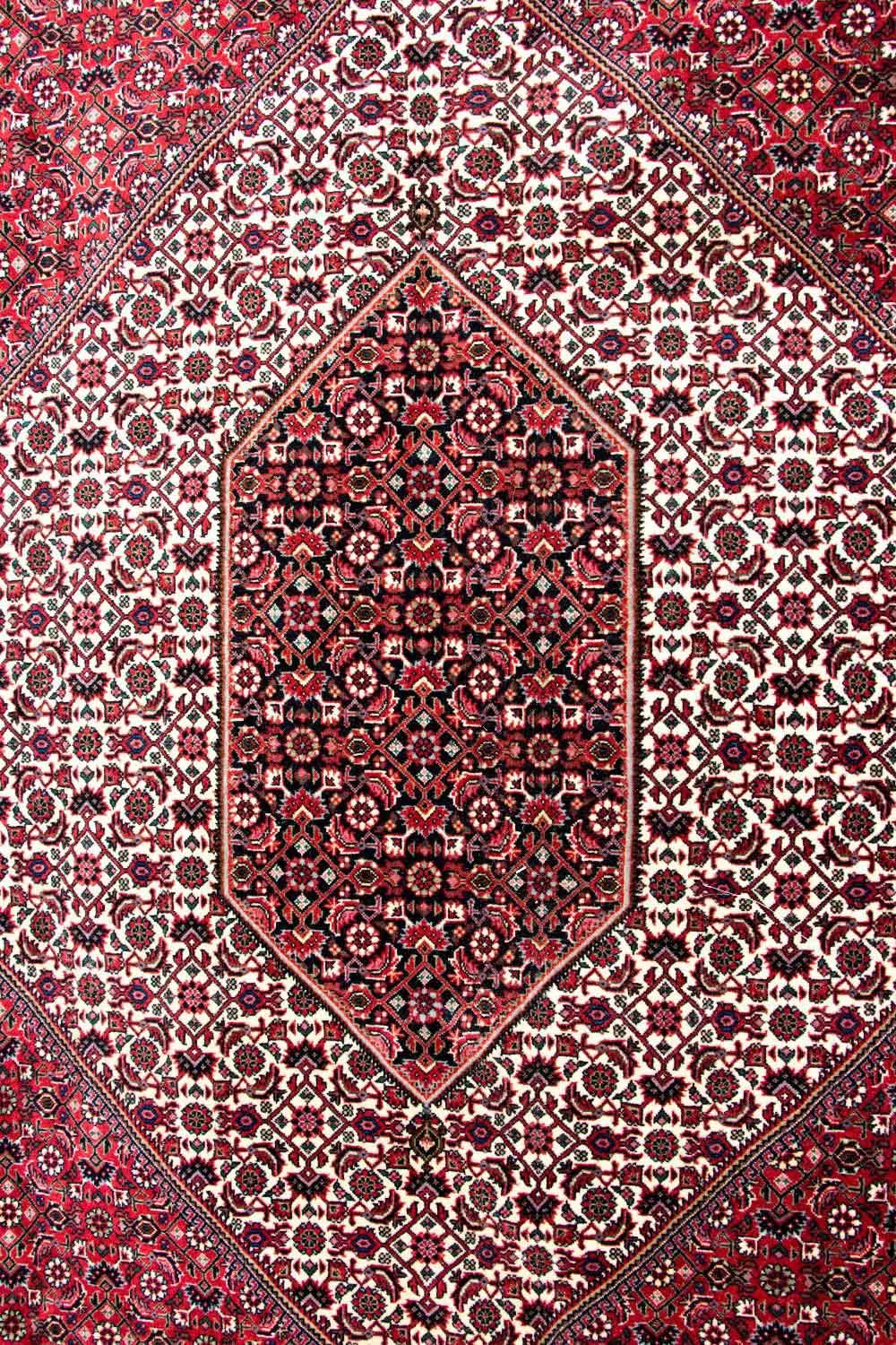 Alfombra persa - Bidjar - 310 x 250 cm - beige