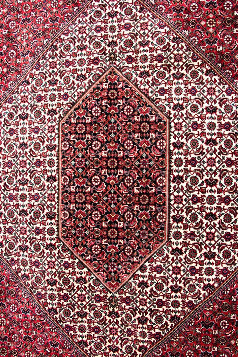 Alfombra persa - Bidjar - 310 x 250 cm - beige