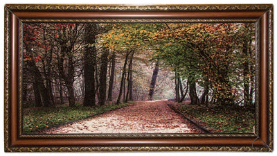 Tapiz 63x110cm - Alfombra oriental