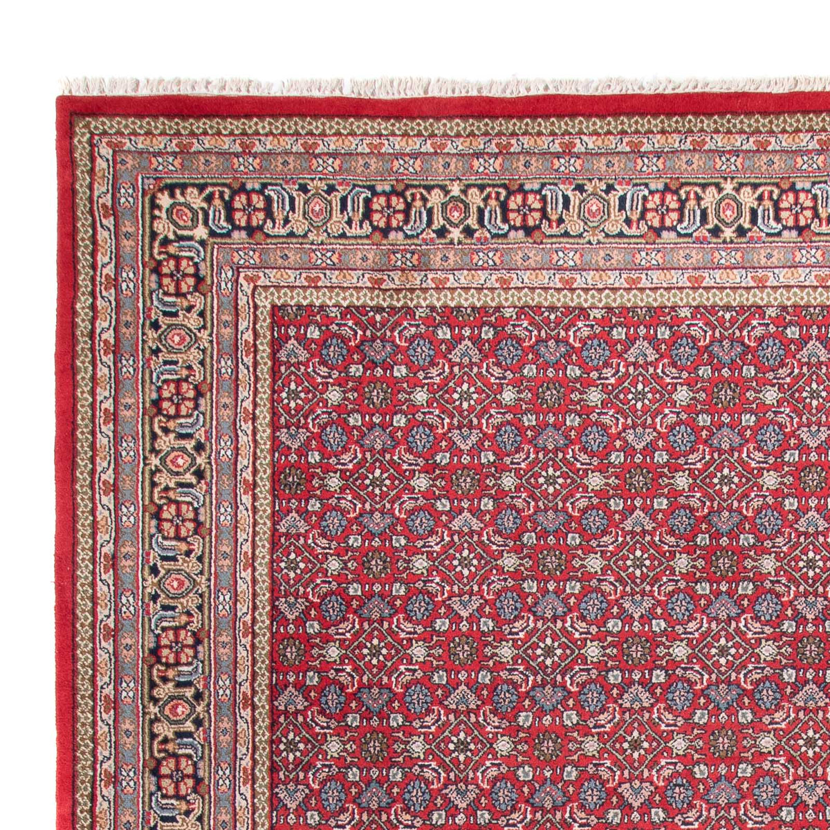 Bidjar Indo Alfombra 253x353cm - Alfombra oriental
