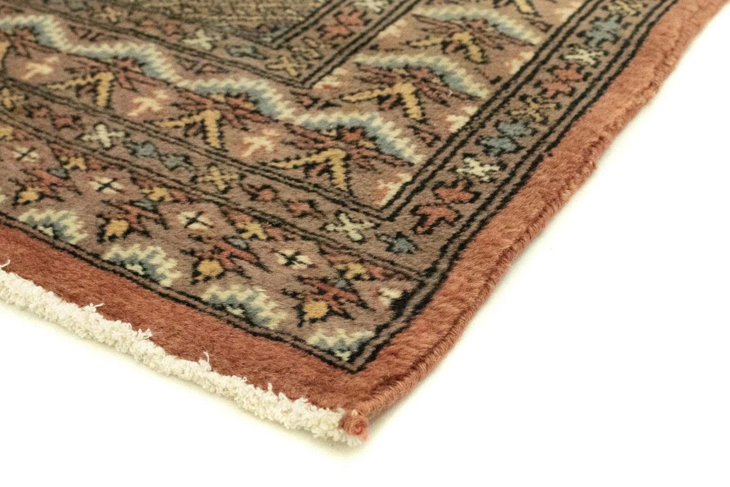 Alfombra de pasillo Alfombra Pakistani - 257 x 80 cm - naranja