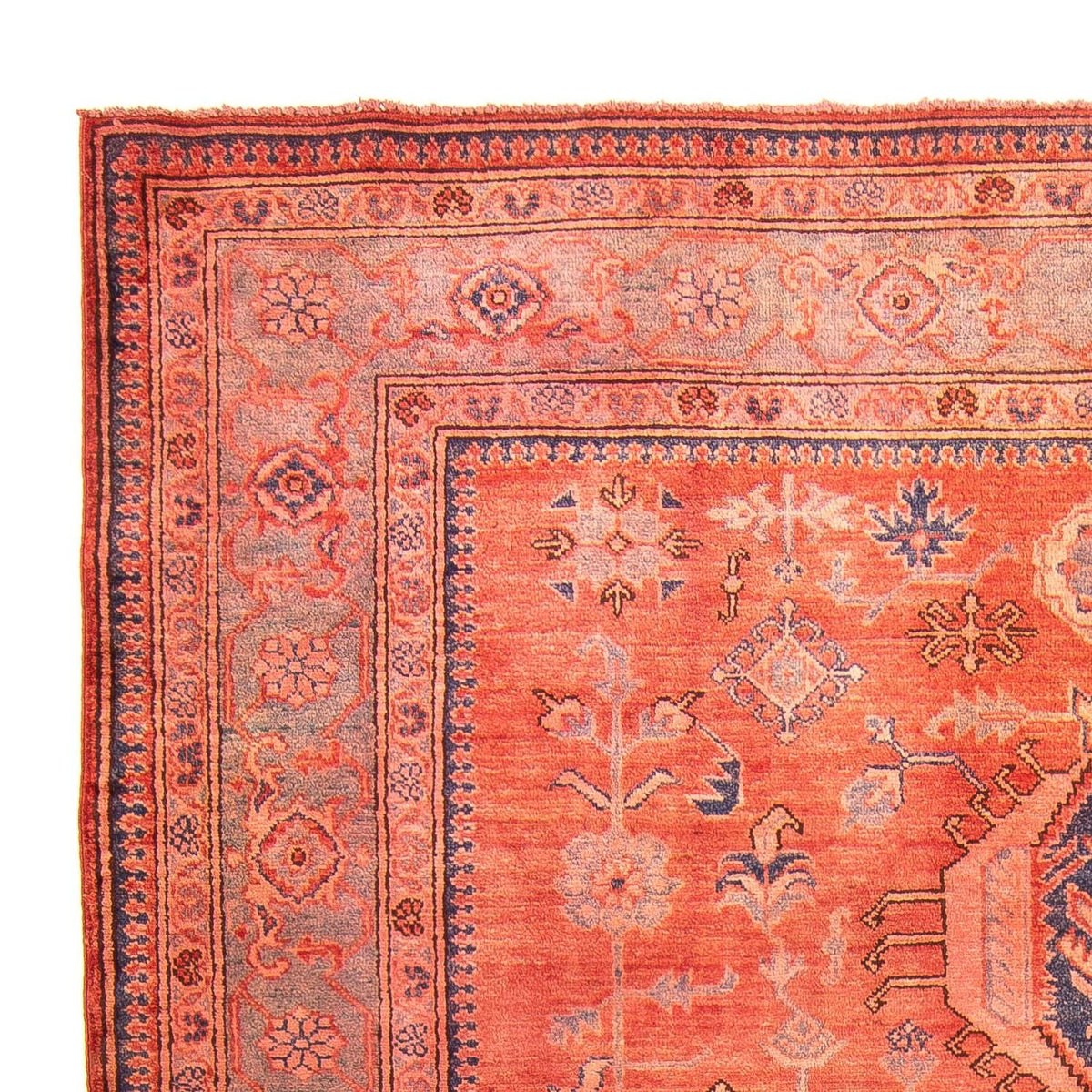 Kazak Alfombra 183x244cm - Alfombra oriental