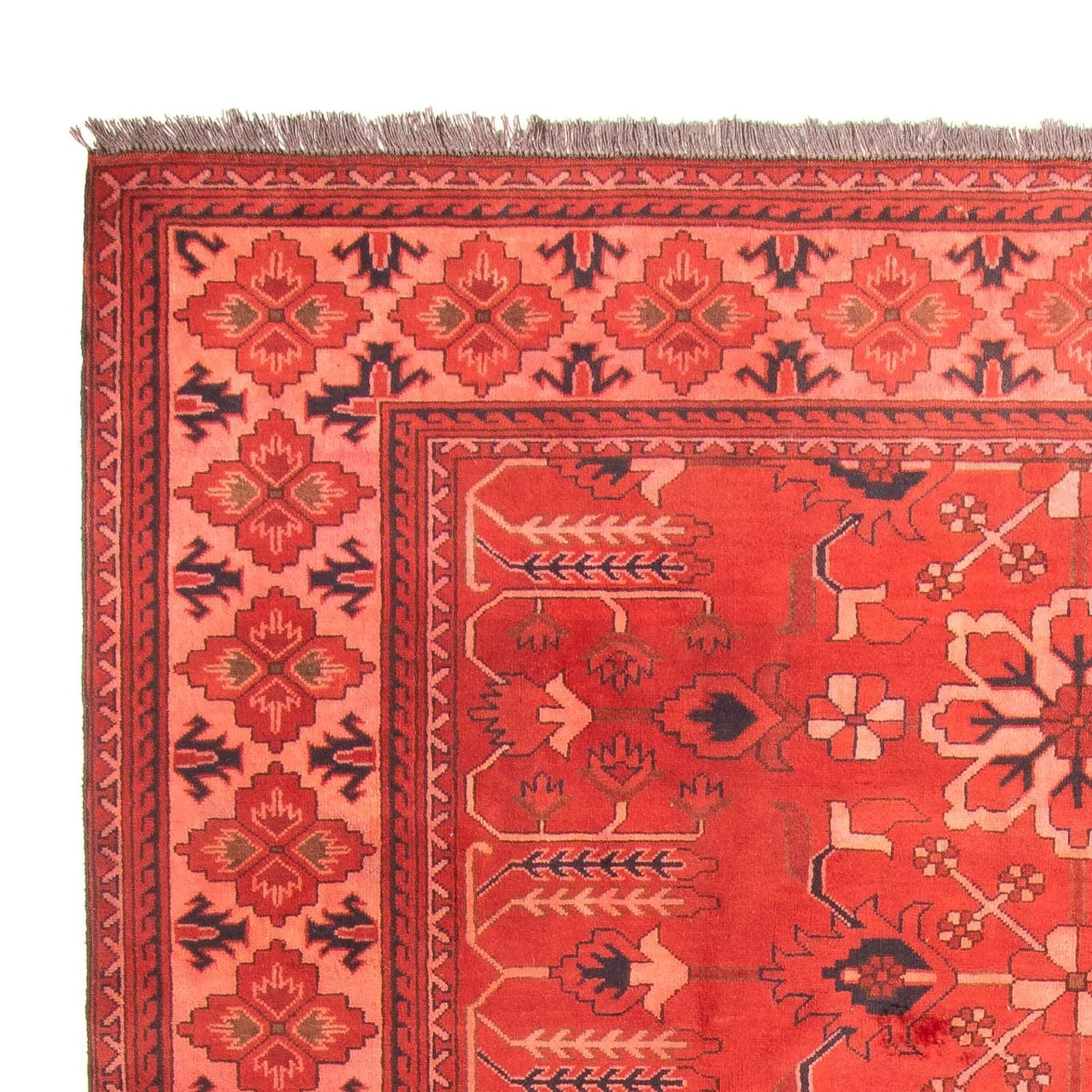 Alfombra afgana - Hatschlu - 296 x 210 cm - rojo oscuro
