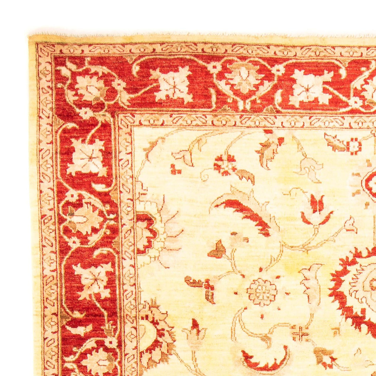 Alfombra Ziegler 207x286cm - Alfombra oriental