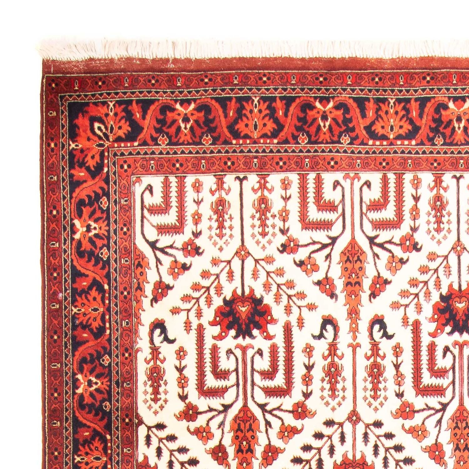 Alfombra afgana - 270 x 186 cm - beige