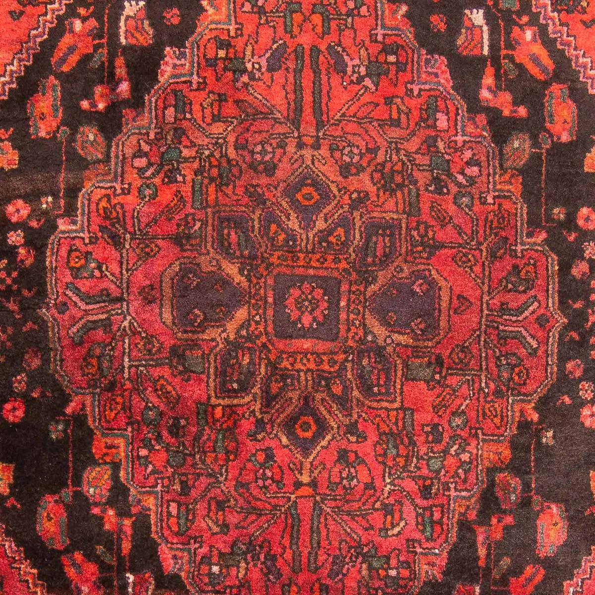 Alfombra de pasillo Alfombra persa - Nómada - 238 x 127 cm - rojo oscuro