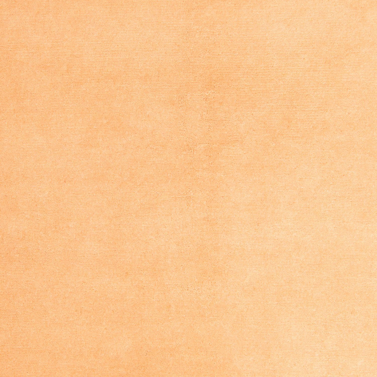 Alfombra de Nepal - 237 x 170 cm - beige