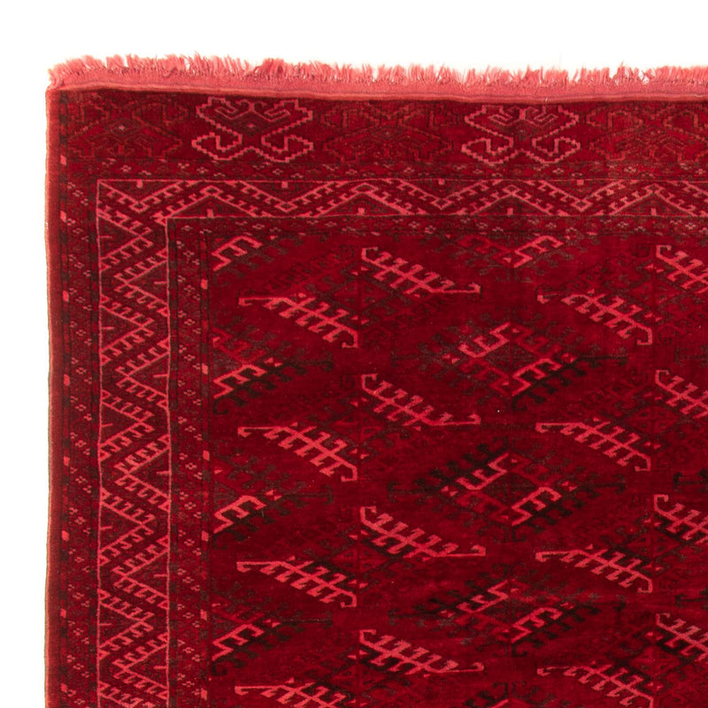 Alfombra afgana - 323 x 279 cm - rojo