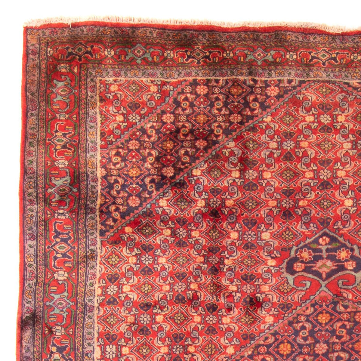 Alfombra persa - Nómada - 290 x 203 cm - rojo