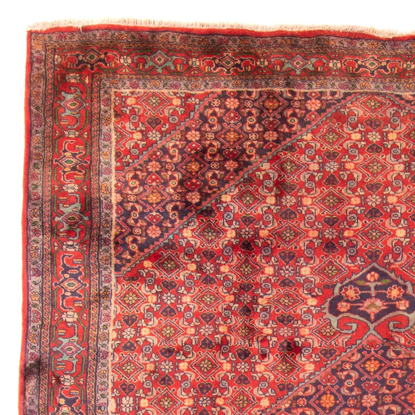 Ardabil Alfombra 290x203cm - Alfombra persa