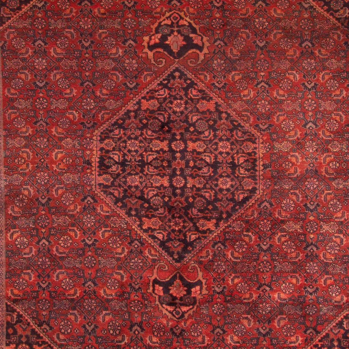 Alfombra persa - Bidjar - 327 x 220 cm - rojo oscuro