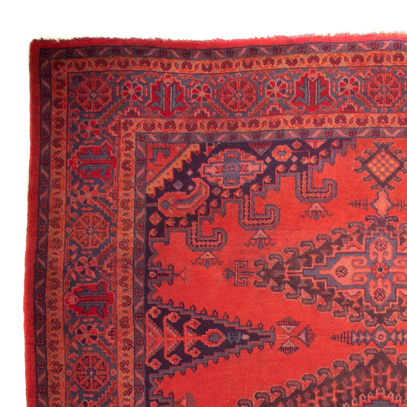 Wiss Alfombra 335x225cm - Alfombra persa