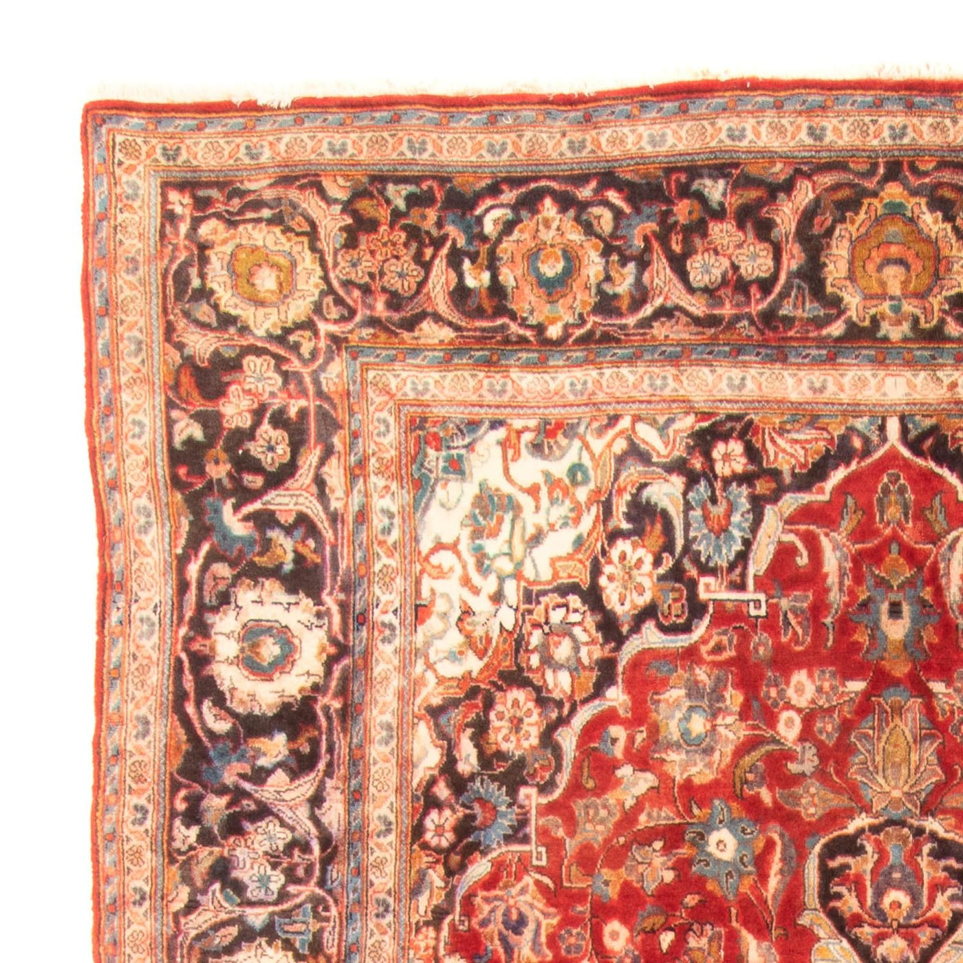 Kashan Alfombra 322x183cm - Alfombra persa