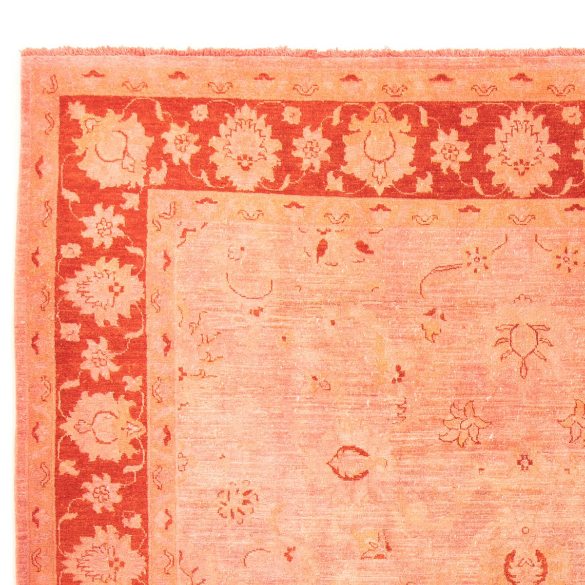 Alfombra Ziegler 242x300cm - Alfombra oriental