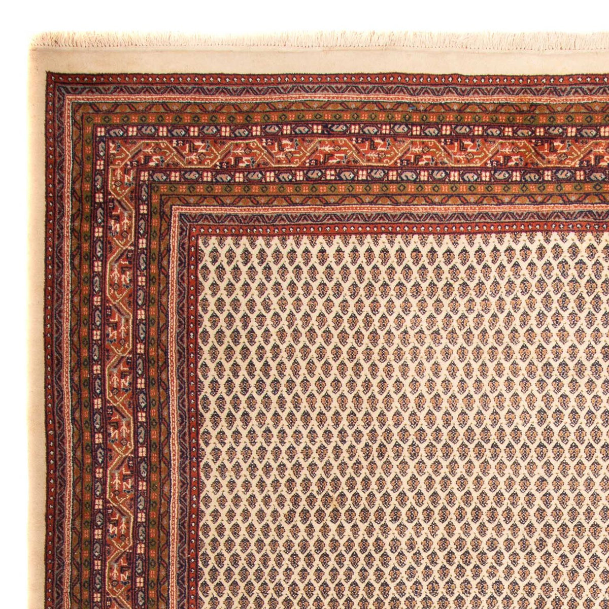 Alfombra oriental - Mir - Indus - 344 x 244 cm - beige