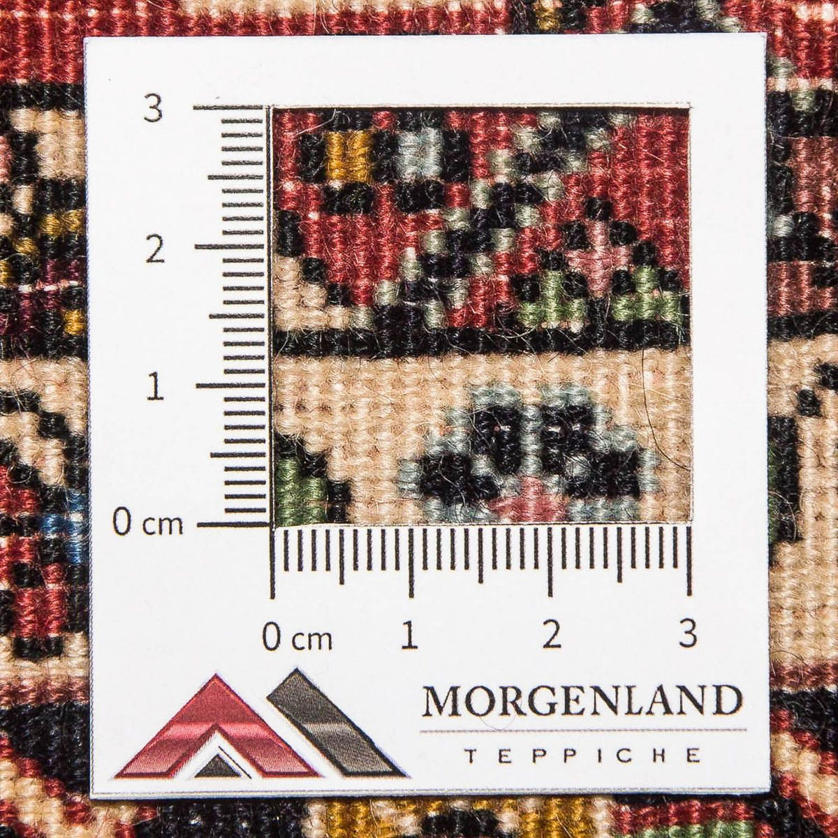 Alfombra de pasillo Alfombra persa - Bidjar - 301 x 87 cm - rojo