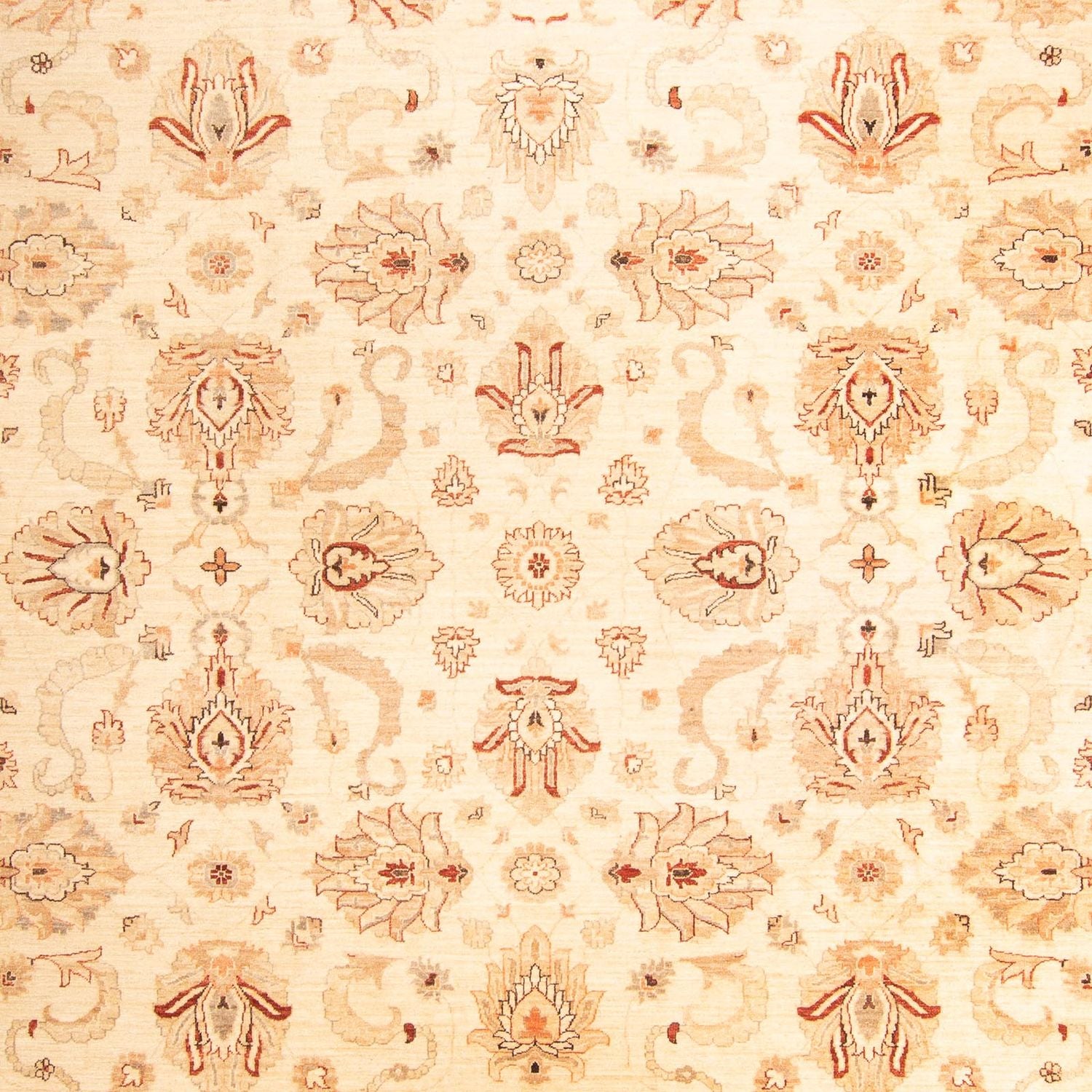 Alfombra Ziegler - 397 x 299 cm - beige