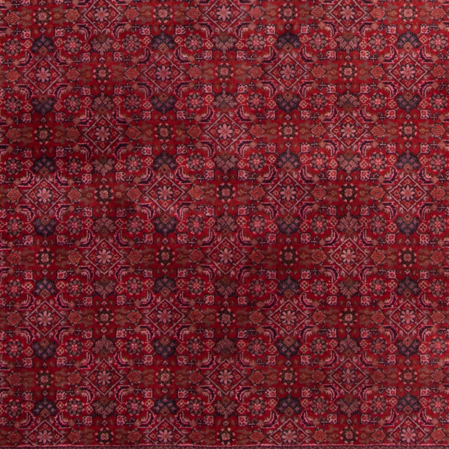 Alfombra oriental - Bidjar - Indus - 300 x 200 cm - rojo