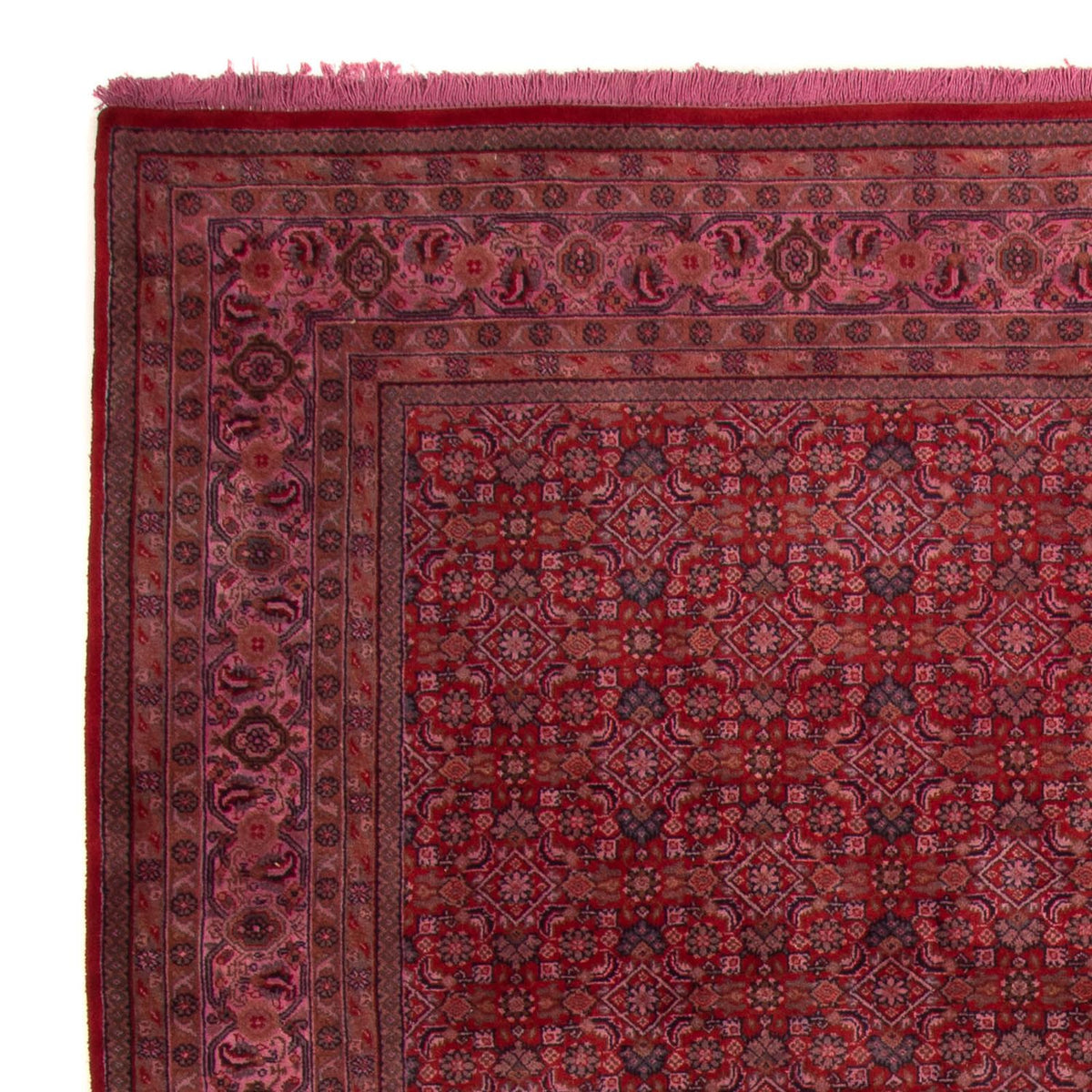 Bidjar Indo Alfombra 200x300cm - Alfombra oriental