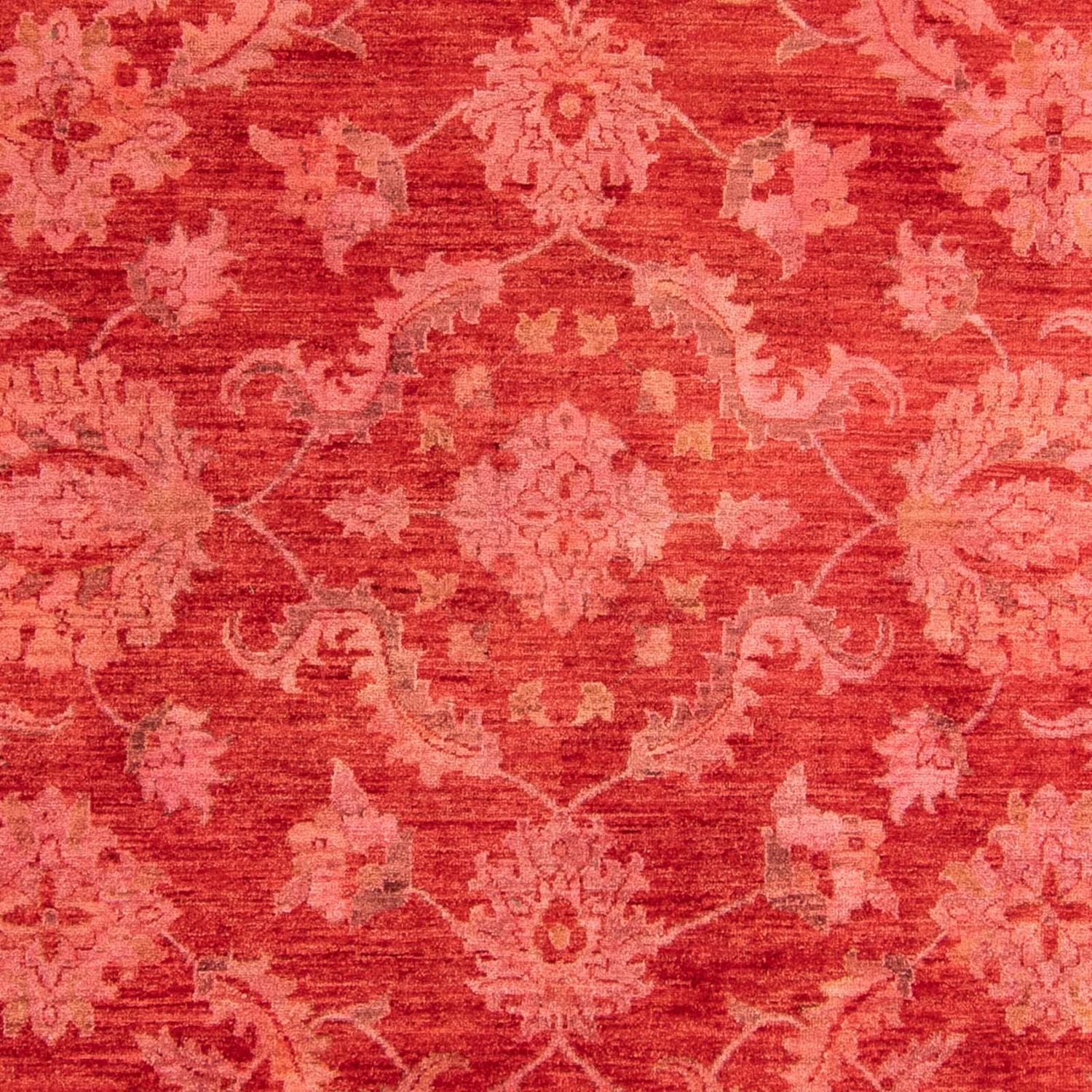 Alfombra Ziegler - 350 x 222 cm - rojo claro