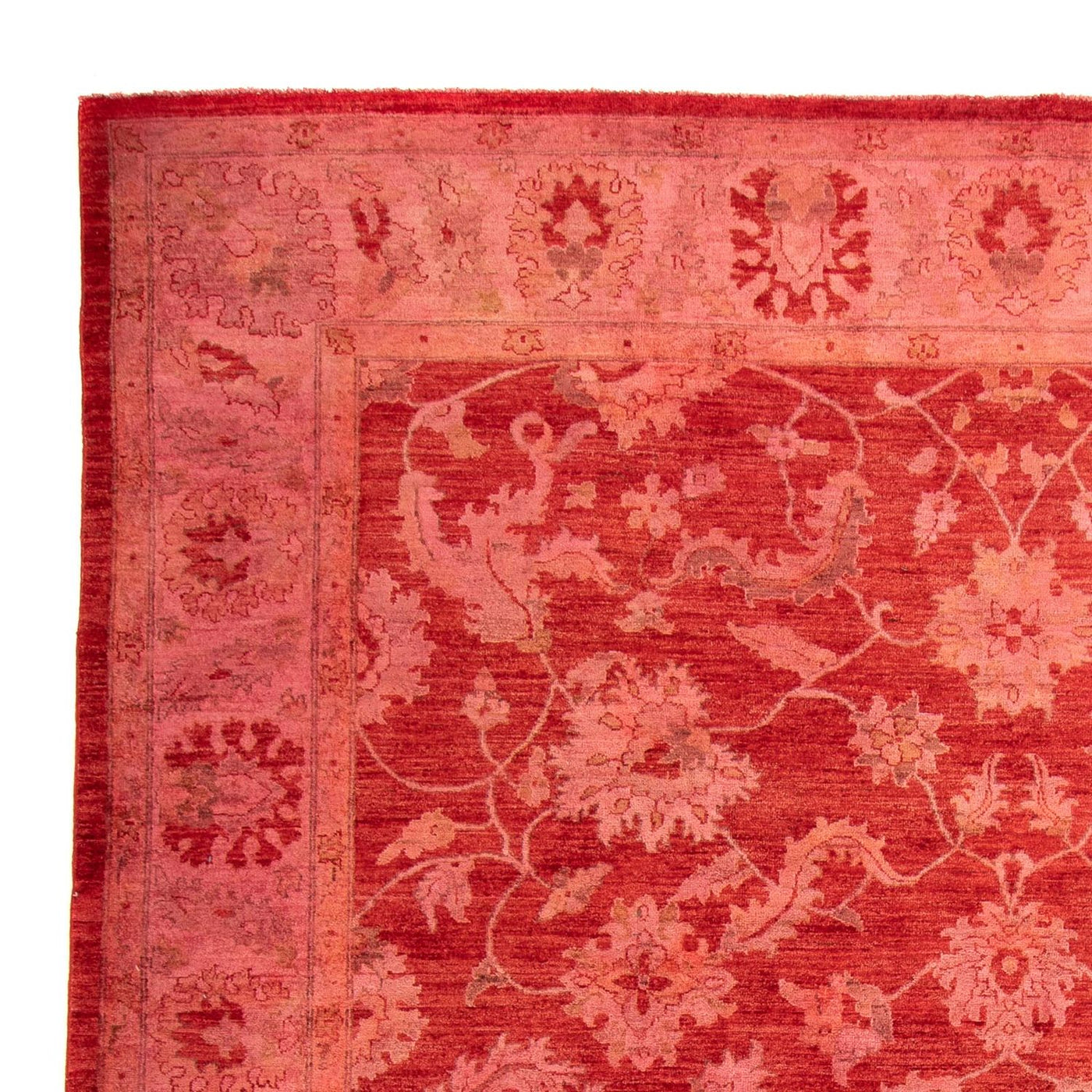 Alfombra Ziegler 350x222cm - Alfombra oriental