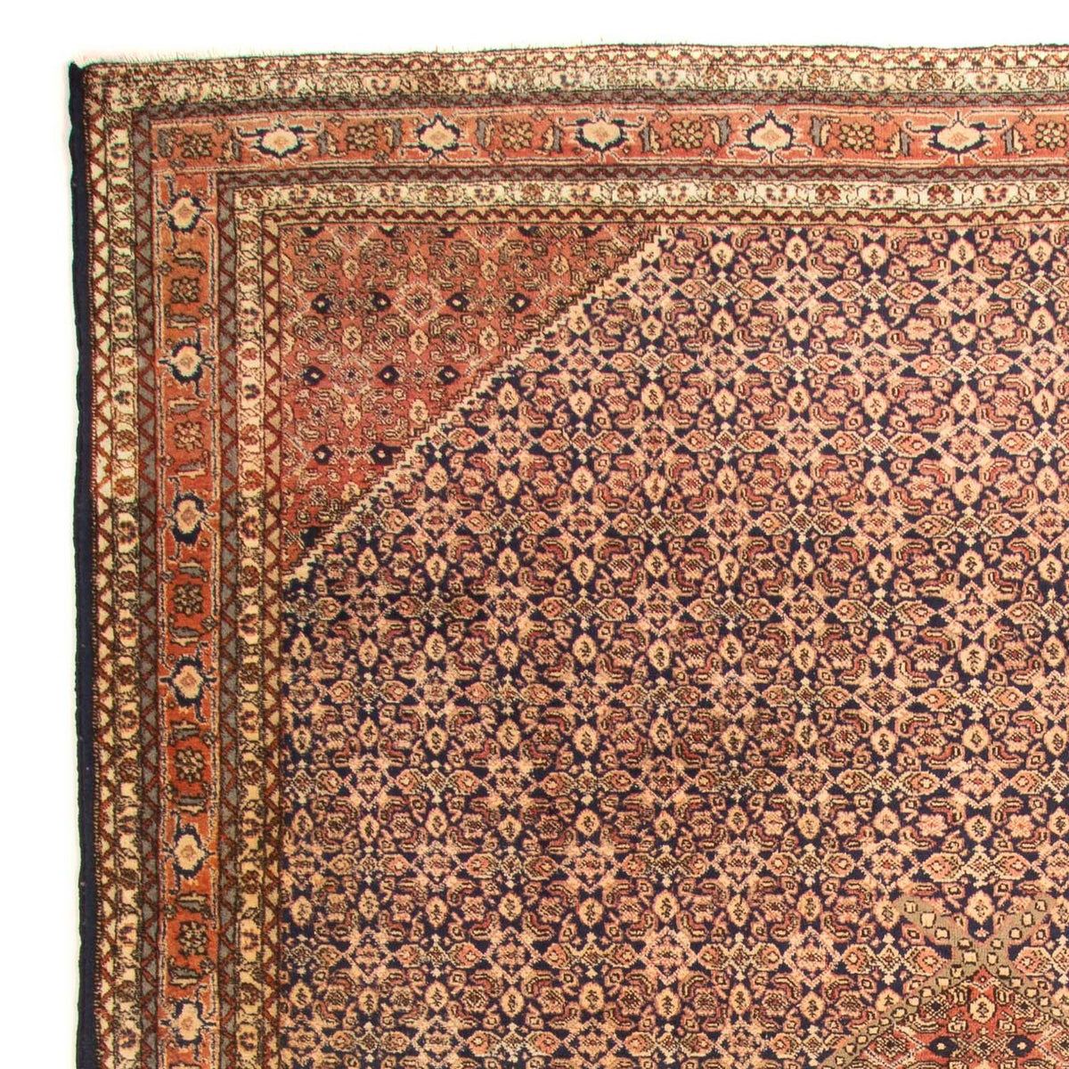 Ardabil Alfombra 220x330cm - Alfombra persa