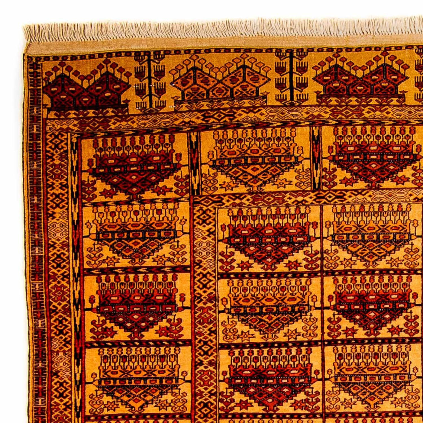 Alfombra de seda - Seda afgana - 173 x 126 cm - oro