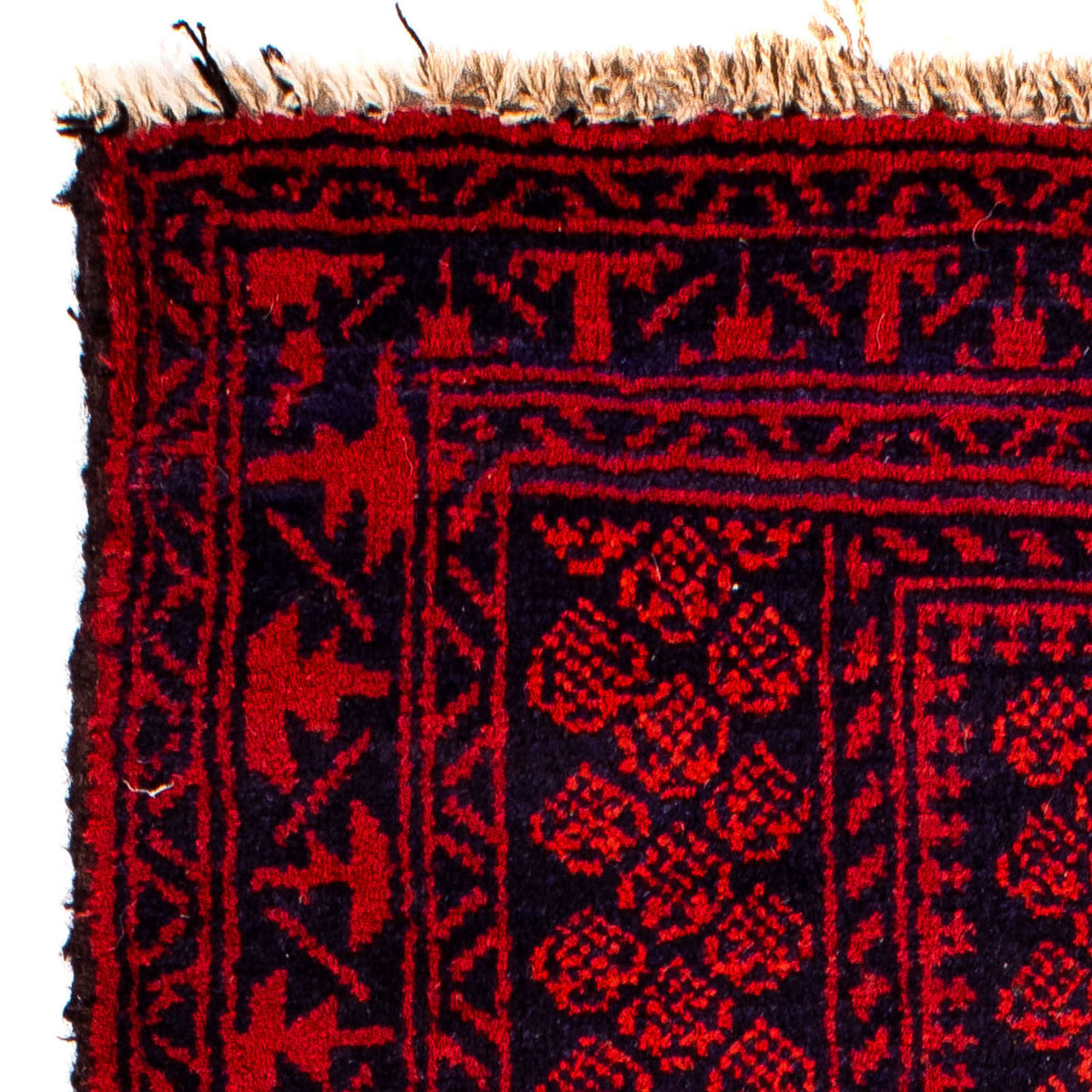 Alfombra Belutsch 79x132cm - Alfombra persa