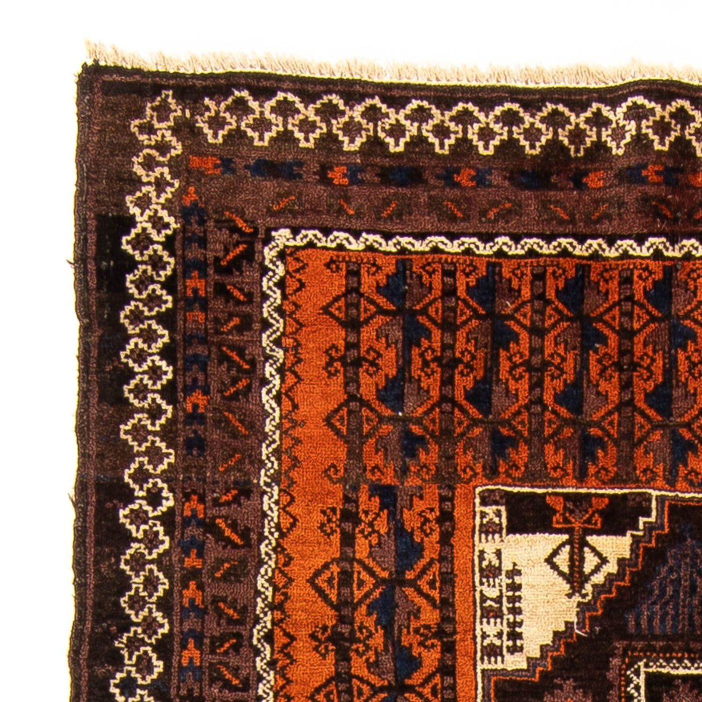 Alfombra Belutsch 192x111cm - Alfombra oriental
