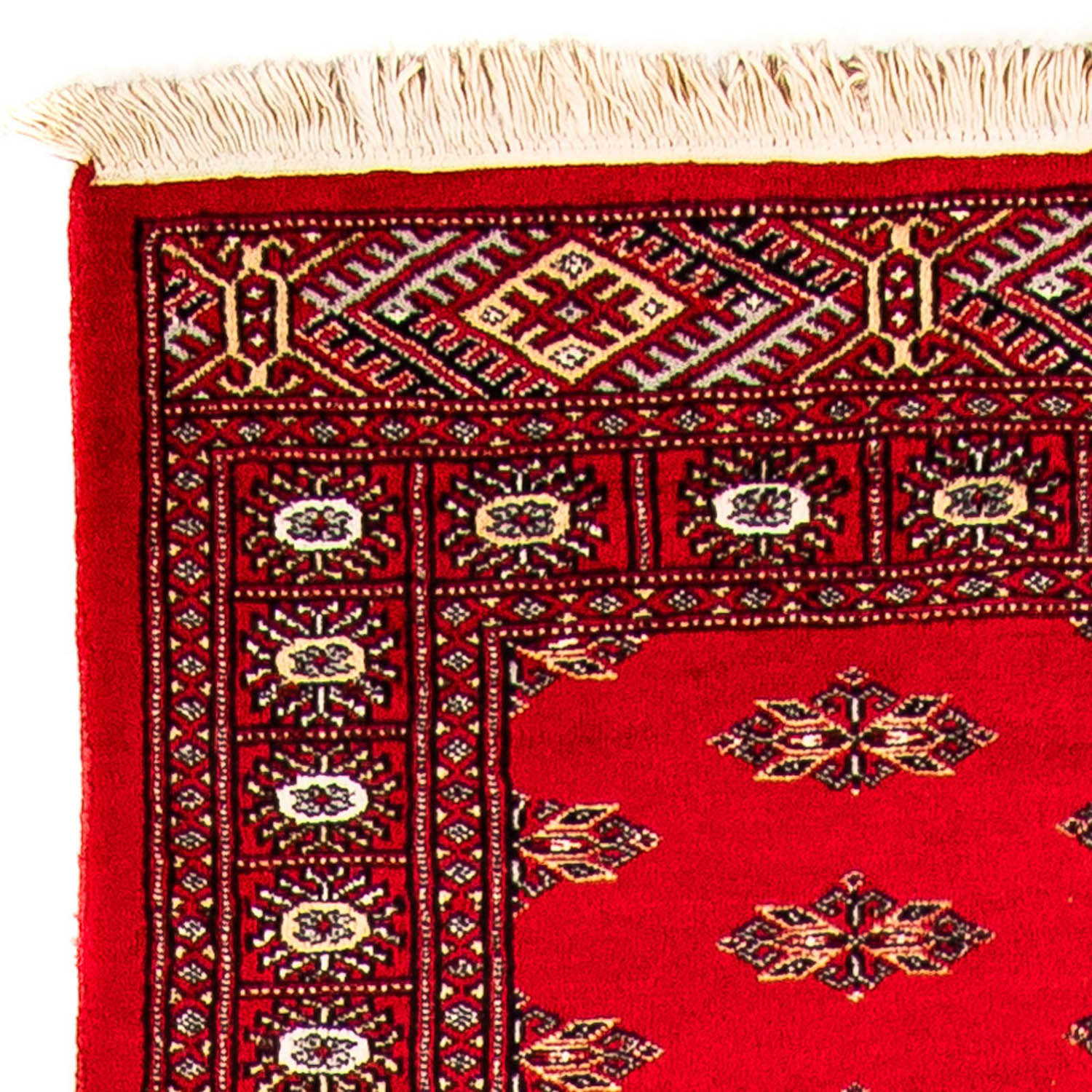 Alfombra de pasillo Alfombra Pakistani - 326 x 76 cm - rojo
