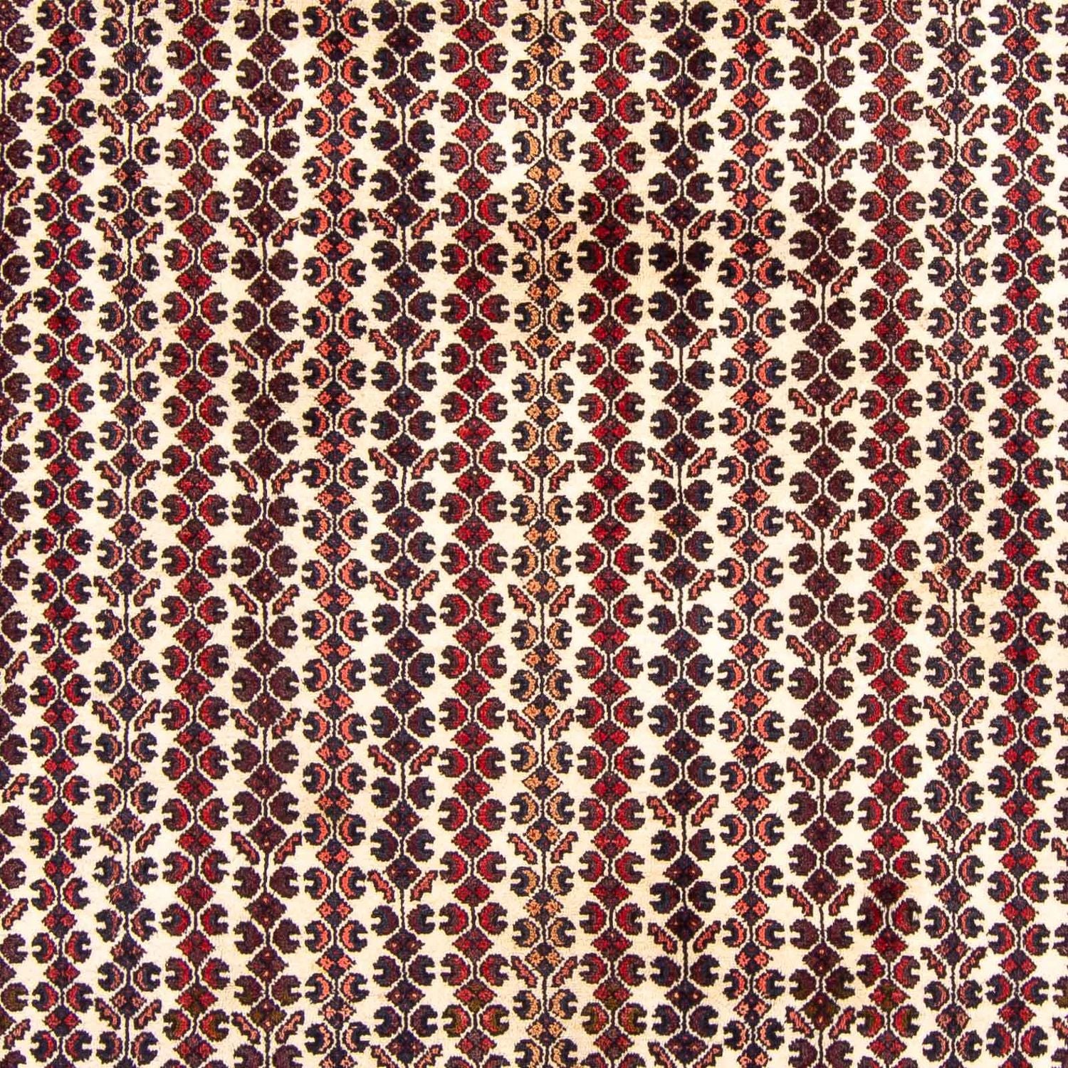 Alfombra persa - Nómada - 310 x 210 cm - marrón
