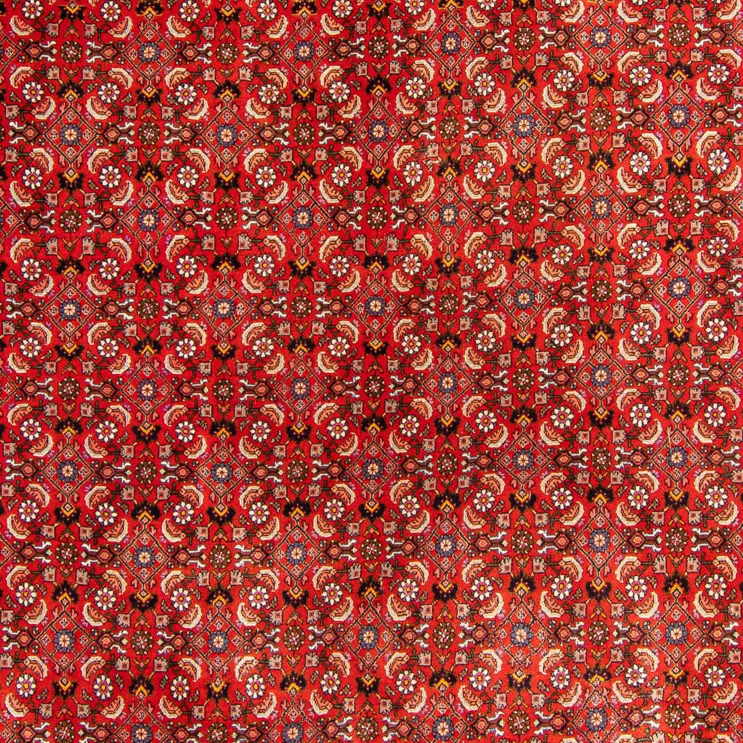 Alfombra persa - Bidjar - 300 x 204 cm - rojo