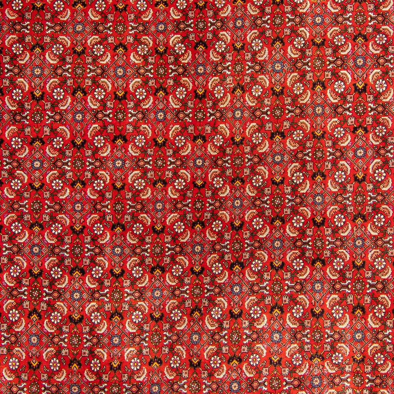 Alfombra persa - Bidjar - 300 x 204 cm - rojo