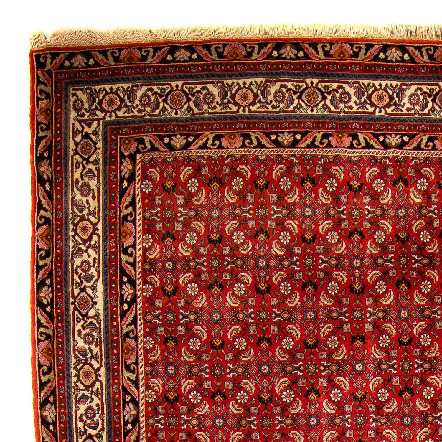 Alfombra persa - Bidjar - 300 x 204 cm - rojo