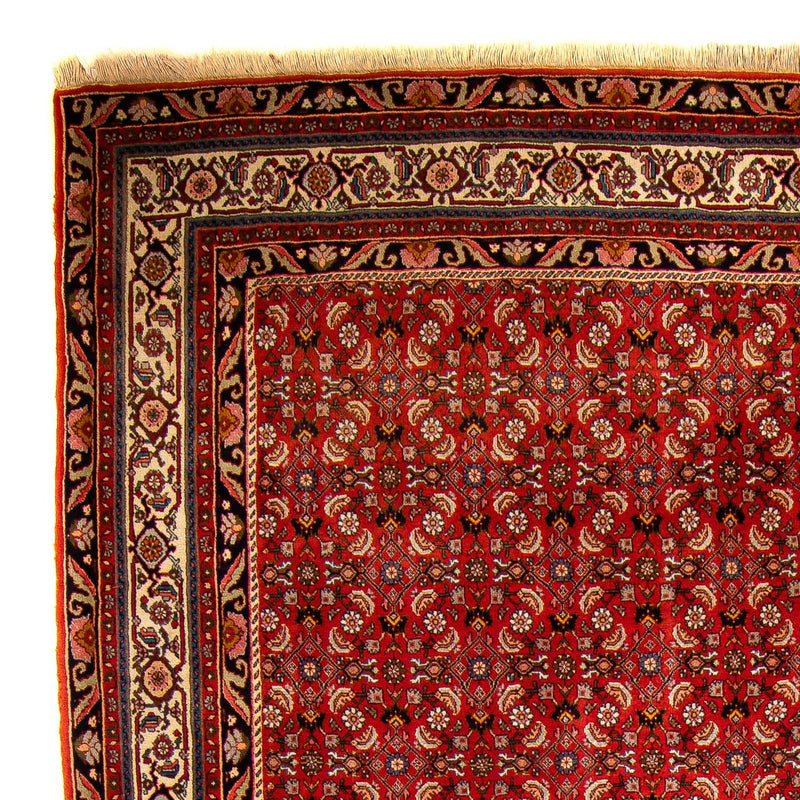 Alfombra persa - Bidjar - 300 x 204 cm - rojo