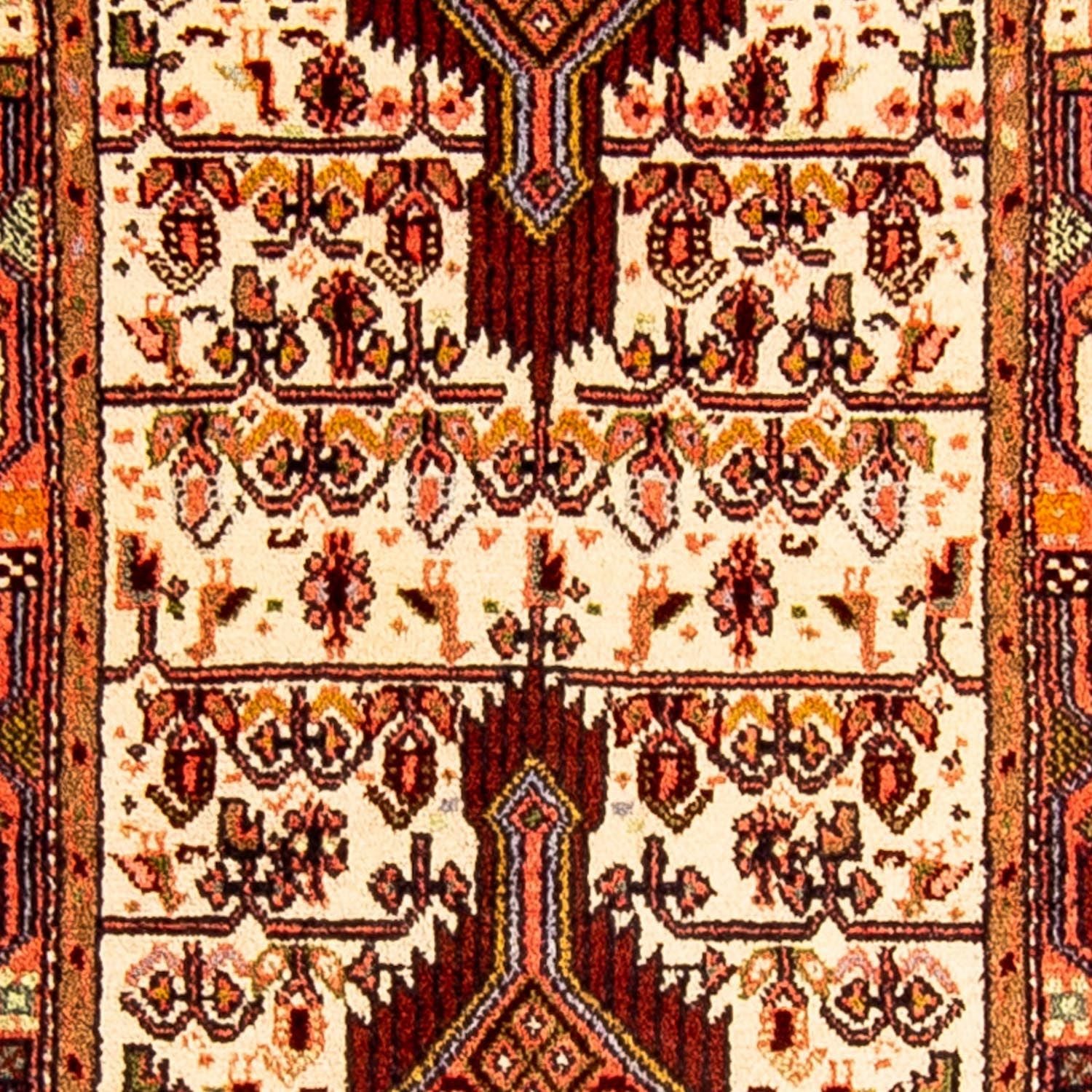 Alfombra de pasillo Alfombra persa - Nómada - 240 x 70 cm - beige