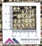 Alfombra oriental - 160 x 90 cm - rojo